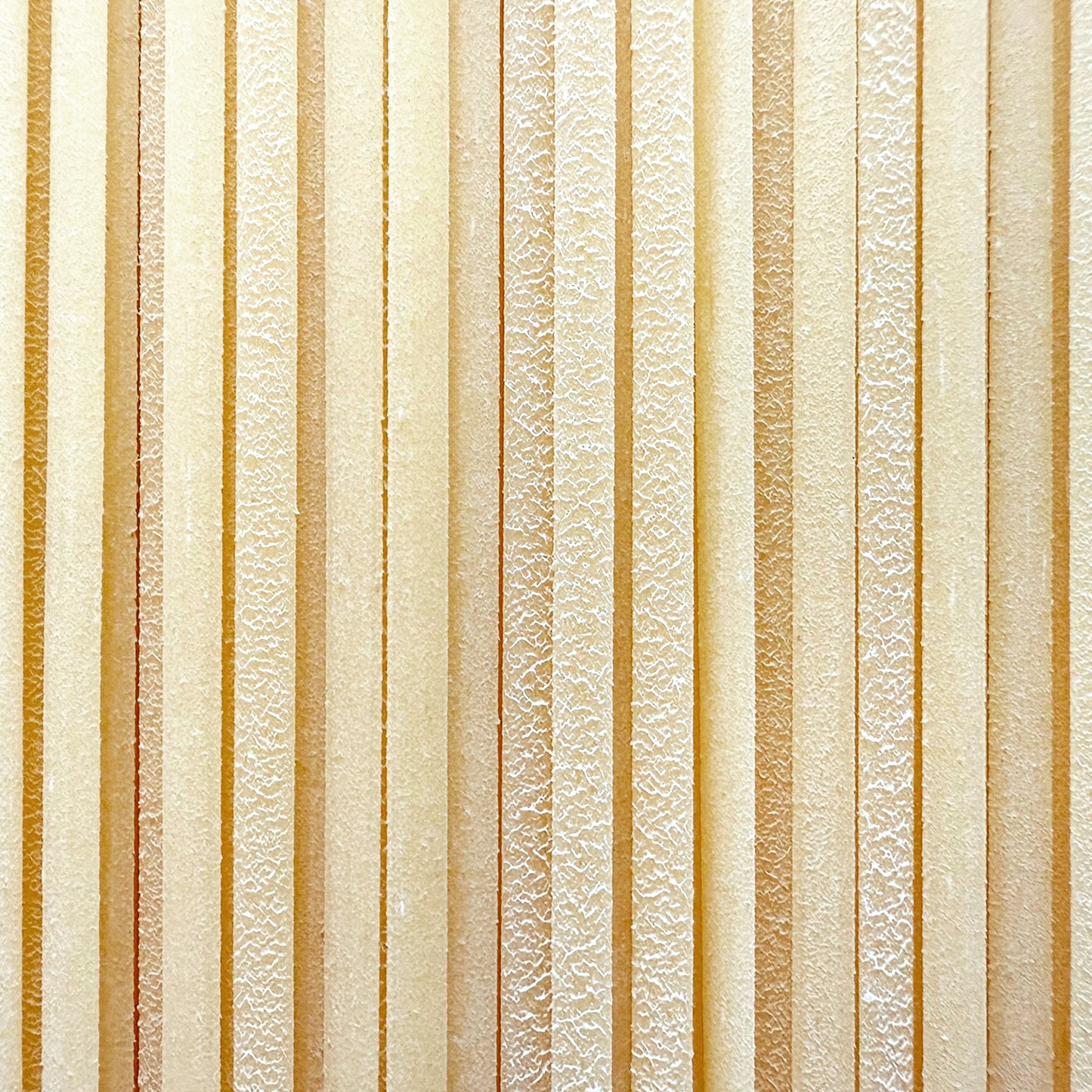 Box Degustazione "Grano Cappelli" – 6 Pacchi di Pasta Biologica