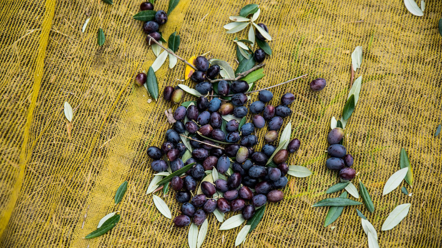 Olio Extravergine di Oliva Biologico "Il Contadino" 0,75cl